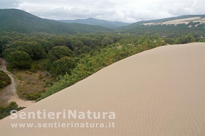 06-Le dune di Piscinas