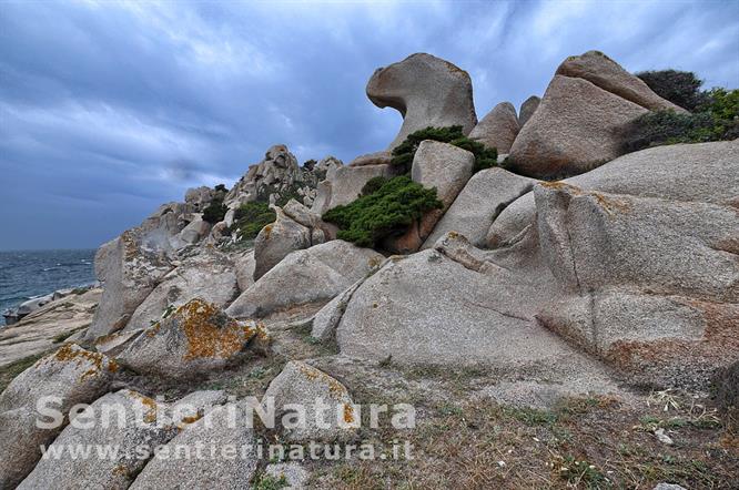 03-Strane forme rocciose a Cala dell'Indiano