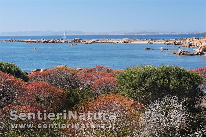 02-La costa dell'Asinara presso Punta Barbarossa