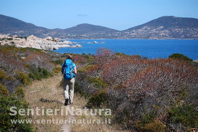 03-Lungo la costa est dell'Asinara