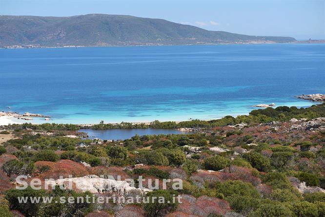 04-La cala Sant'Andrea e lo stagno, zone di riserva integrale del Parco