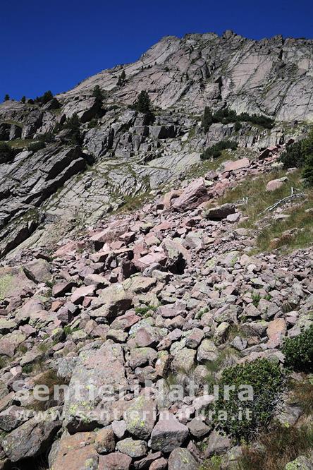 11-Pietraie alla base delle pareti del monte Forcella Sarentina