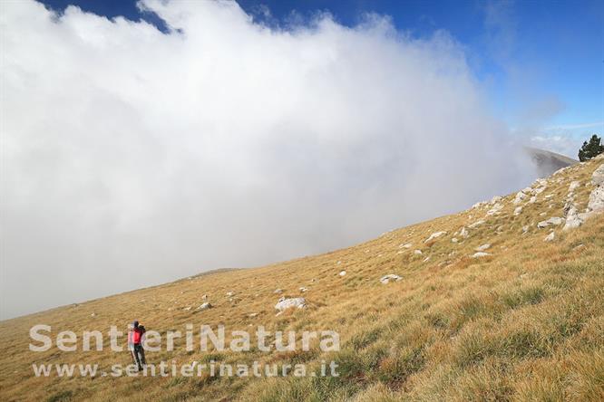 04-Le praterie sommitali del monte Pollino