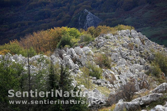 01-La cresta rocciosa della Serra d'Abete