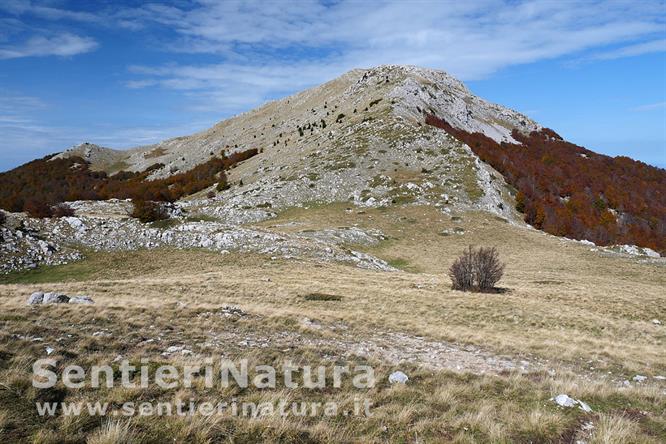 05-Il monte Pollino dal Colle di Malevento