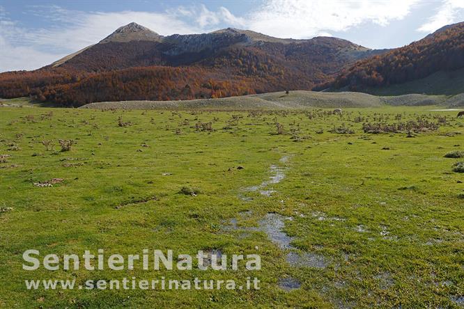 10-Prati acquitrinosi sul Piano di Toscano