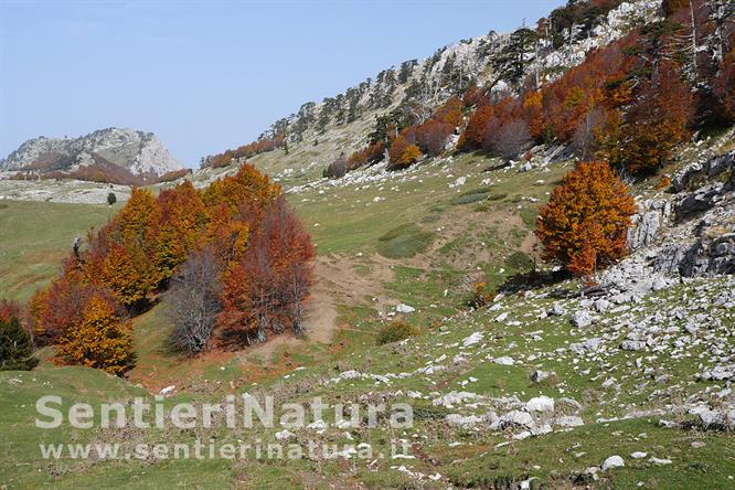 08-Alle pendici della Serra delle Ciavole; sullo sfondo la Serra di Crispo