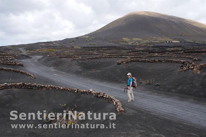 01-Tra i muretti della Ruta de la Geria