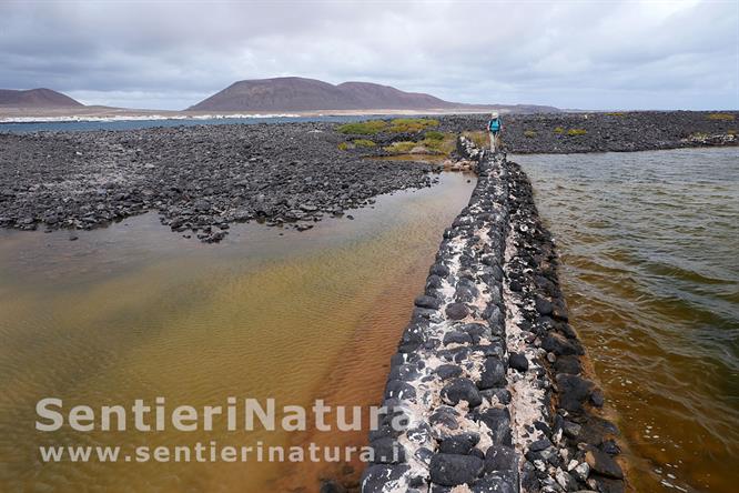 06-Passaggio quasi acrobatico sul muretto che separa le saline del Rio