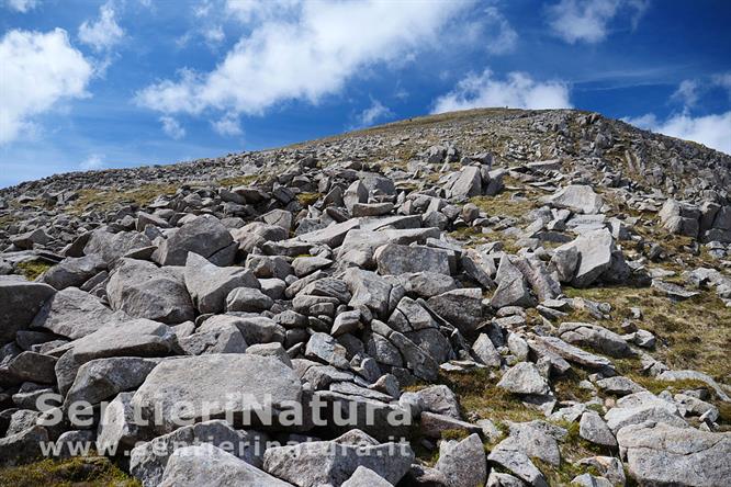04-La pietraia sfuma nella prateria sommitale del Beinn na Caillich