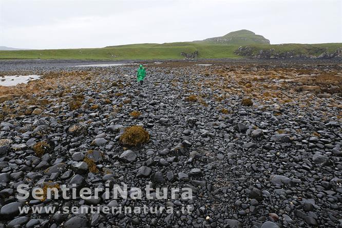 06-Durante la bassa marea l'istmo di Oronsay è percorribile a piedi