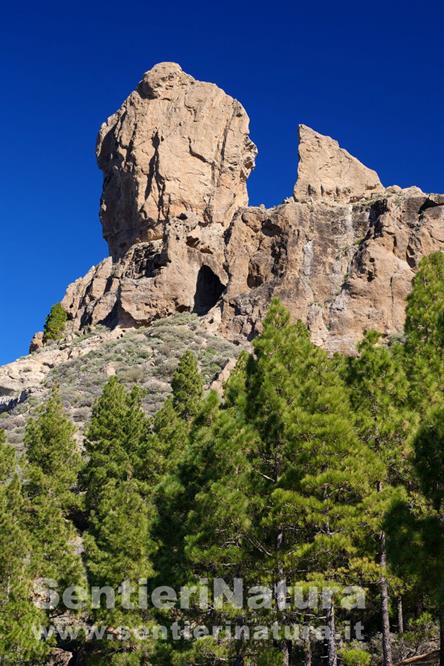 08-Roque Nublo e Rana visti da sud