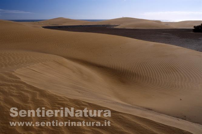 03-Il Sahara di Gran Canaria