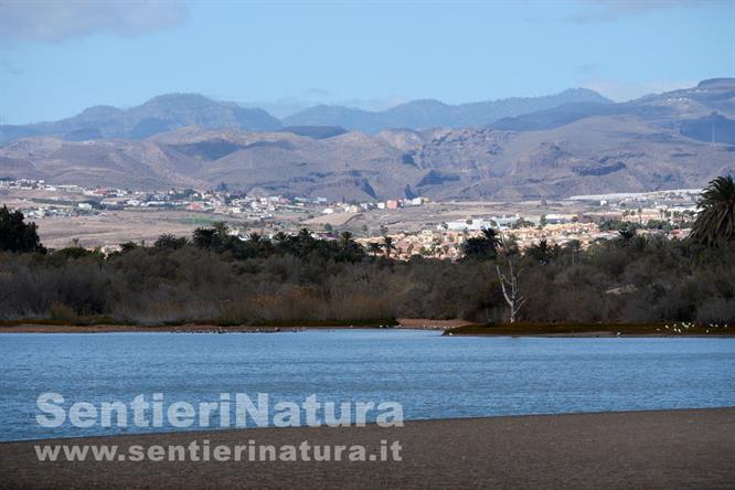 01-La Charca de Maspalomas