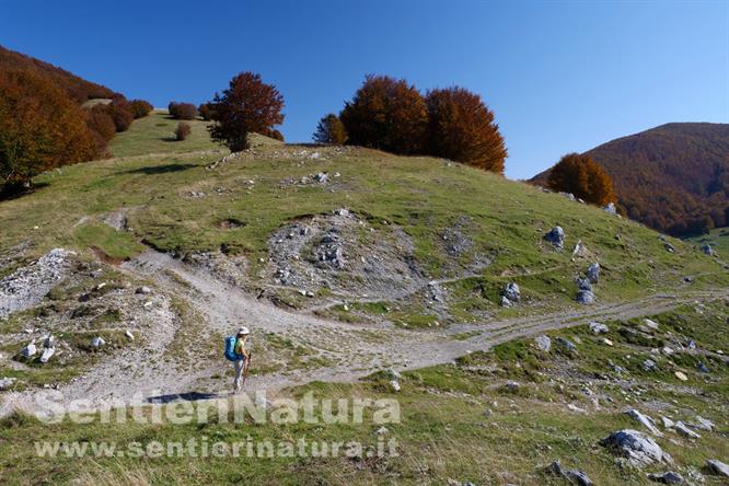 02-Sul margine di Piano Scifarello 