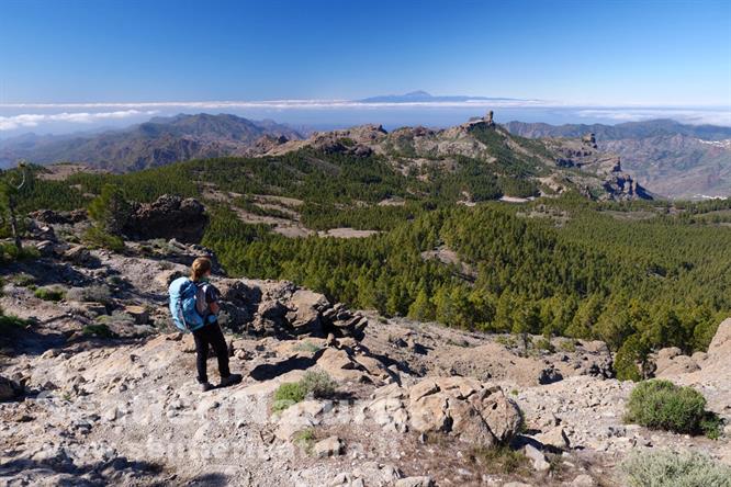 06-Vista dalla cima del Campanario: in lontananza la sagoma del Roque Nublo