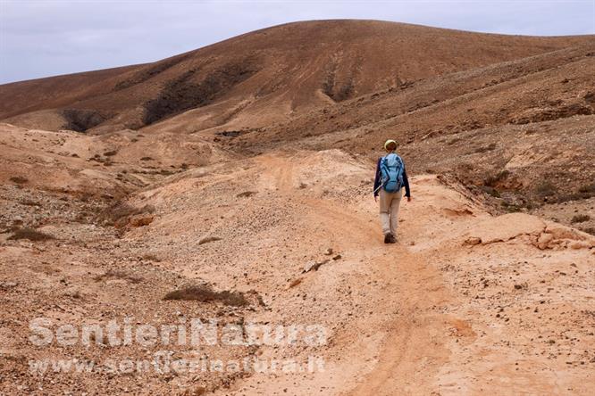 05-In cammino nel terreno rosato