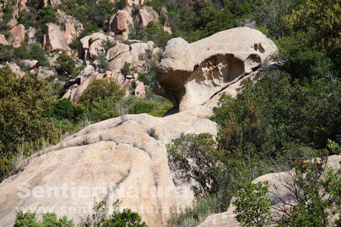 03-Strane cariature delle rocce