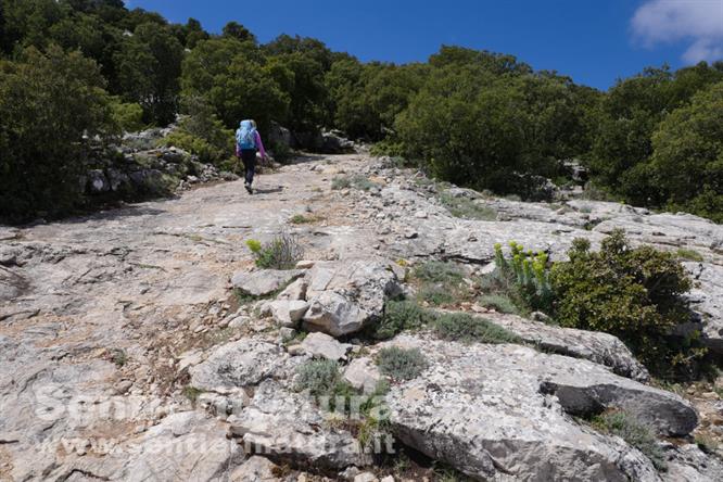 05-Tavolato roccioso sotto la cima del monte Margiani