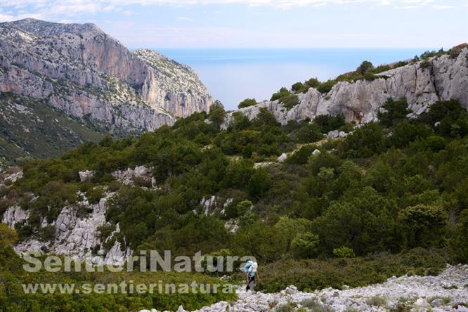 02-Lecci e rocce calcaree presso la vetta del monte Oro