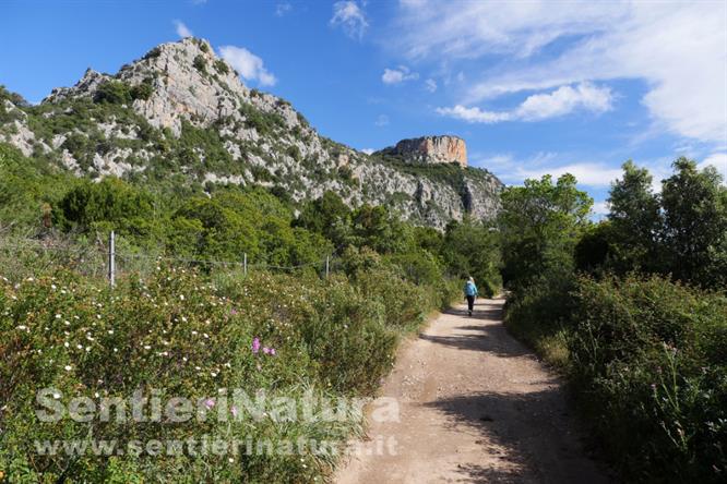 02-La pista all'inizio dell'itinerario