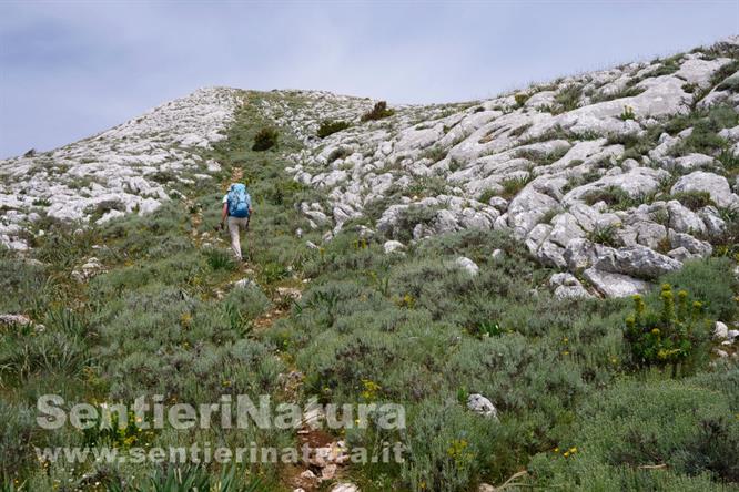 05-Corridoio verde alla cima Gurturgius