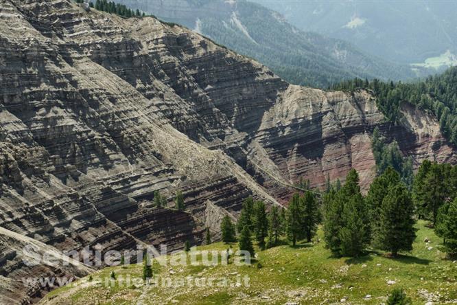 06-Strati geologici affiorano sul versante nord della Seceda
