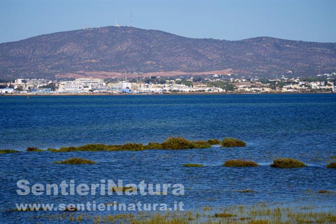 06-Skyline di Olhao