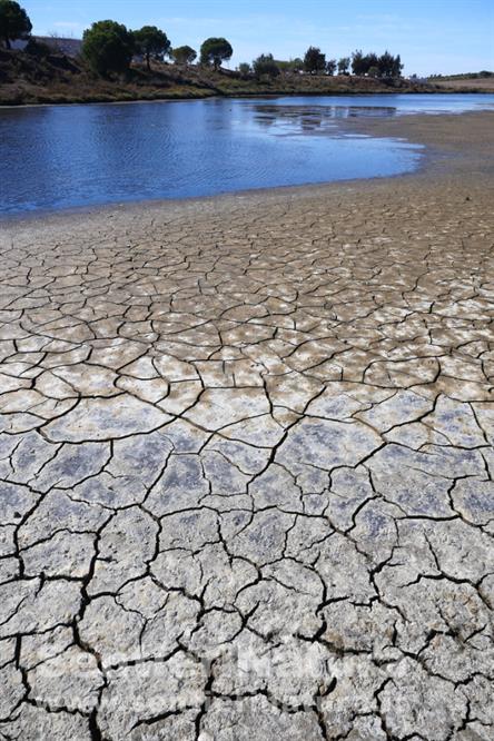 03-Nella Riserva naturale di Castro Marim