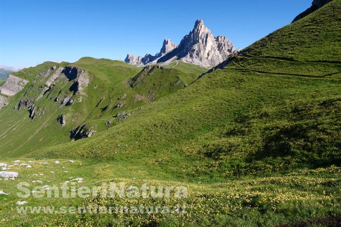 01-I verdi pascoli di forcella Col Piombin