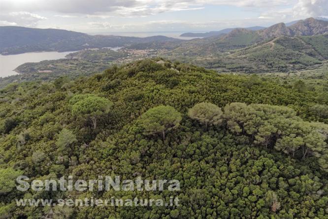 04-Boscaglia alle pendici del monte Arco