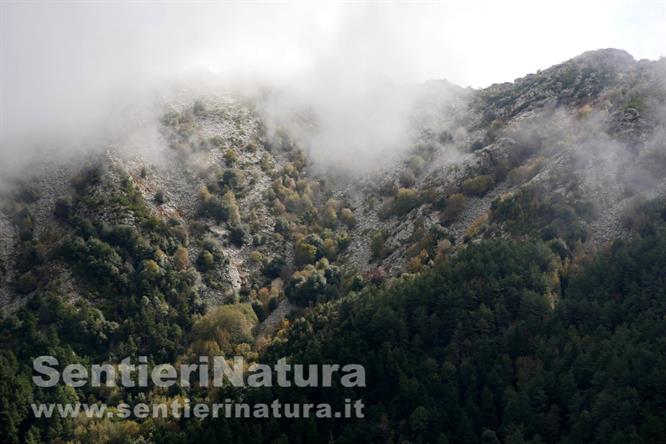 06-Boscaglia autunnale