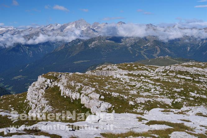 01- Il gruppo della Presanella da passo Grostè