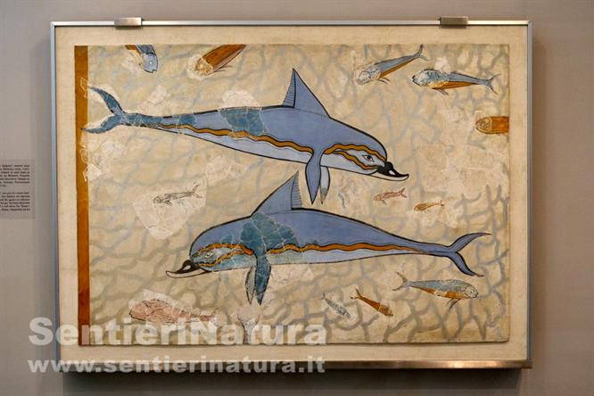 06-Il celebre affresco dei delfini (museo di Hiraklion)