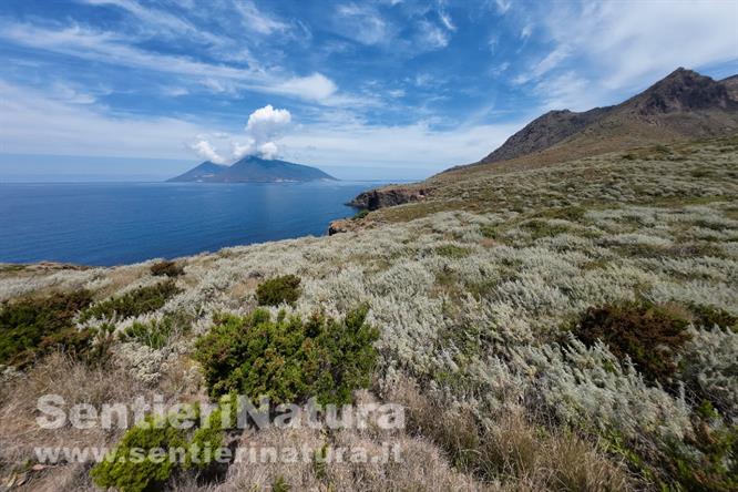 06-Salina dalle coste di Lipari