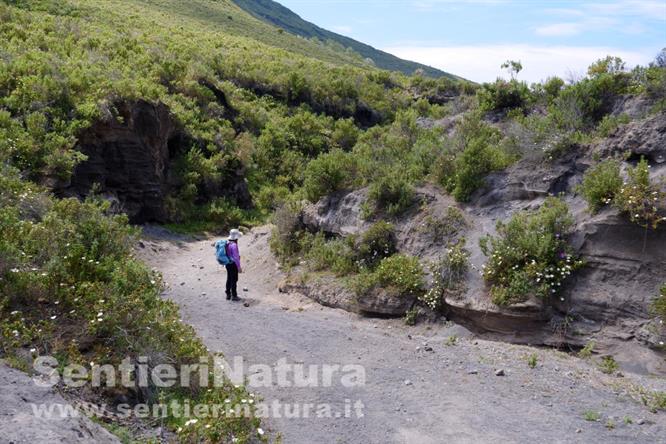 06-La pista immersa nella macchia lungo il rientro 