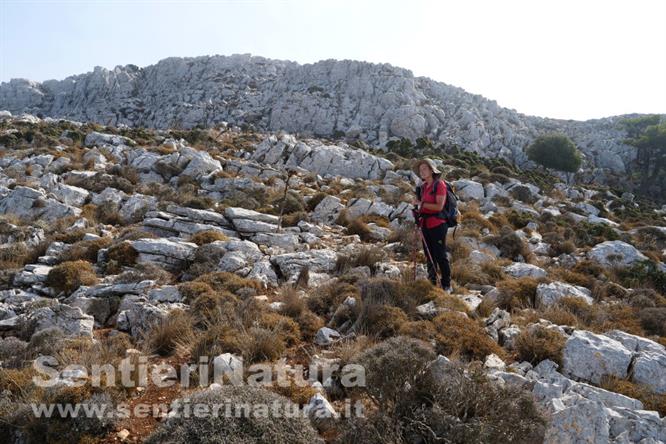 06-Il paesaggio sommitale del monte Akramitis