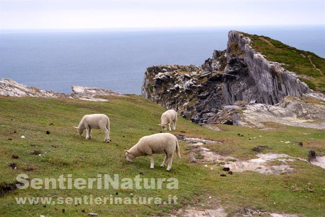 07-Cartolina dall'Irlanda