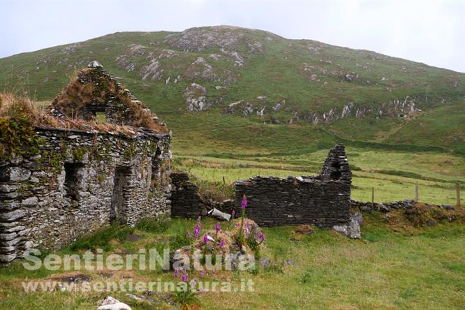 02-Rudere di casolare a Dursey Island