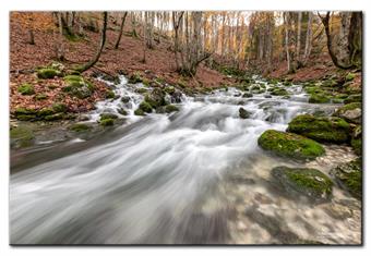 E' proprio così. Tra l'altro non l'avevo mai visto con tutta quest'acqua. Sono andato alle sorgenti è questa è la visione.