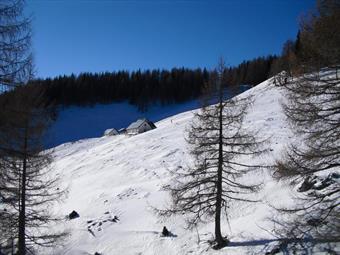 Accesso: Da Dogna prendiamo la rotabile della valle omonima e, dopo essere transitati per alcune caratteristiche frazioni, raggiungiamo Chiout (846), con i resti dell'imponente teleferica.<br />Descrizione: Lasciata l'auto nel piccolo parcheggio adiacente