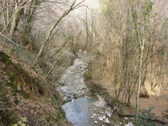 Il Rio Selva poco prima di confluire sul Fontane