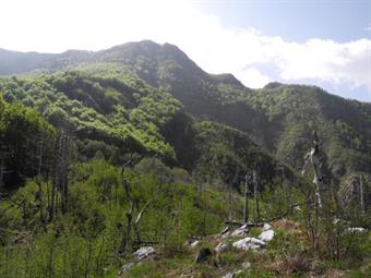 Il Monte Soreli dal pulpito erboso del Plan del Tei