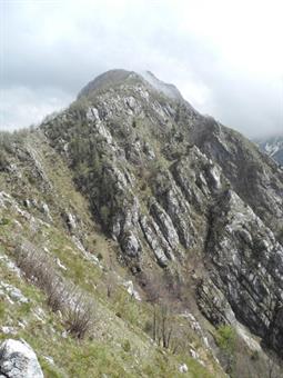 La Cima dei Larici dal M.te Soreli