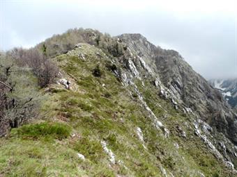 Salendo verso la Cima dei Larici