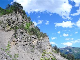 Ad una curva la rotabile svolta decisamente a destra e scende fino al bivio sottostante in località M.o di Miozza.<br />Tralasciando la prosecuzione a sinistra verso Navas (cartello), imbocchiamo sulla destra una sconnessa strada forestale, senza alcuna i