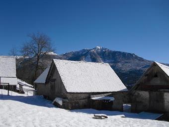 Gli Stavoli Prencis risultano in ottime condizioni e vengono tuttora usati nella stagione di pre e fine alpeggio dagli abitanti del luogo.