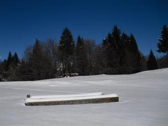 Uscendo definitivamente dalla pineta sbuchiamo sulle ampie distese dei Prati di Navas, nei pressi di un abbeveratoio per gli armenti, parzialmente sepolto<br />dalla coltre bianca.