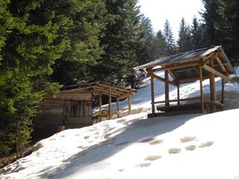 Continuiamo quindi in falsopiano verso oriente lungo il CAI 434, transitando nei pressi di un capanno con annesso tavolo di sosta.<br />