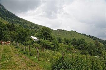 L'ampia carrareccia dopo essere transitata nei pressi della Planina Kasina diviene inerbita e raggiunge infine la Planina Leskovca, dove si esaurisce.<br />